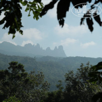 фото из отзыва ID 1669157