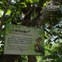 фото из отзыва ID 1669157