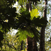 фото из отзыва ID 1669157