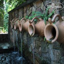 фото из отзыва ID 1669157