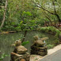 фото из отзыва ID 1669157