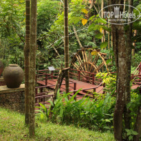 фото из отзыва ID 1669157