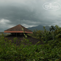 фото из отзыва ID 1669157