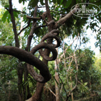 фото из отзыва ID 1669157