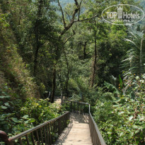 фото из отзыва ID 1669157