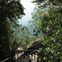 фото из отзыва ID 1669157