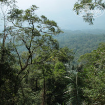 фото из отзыва ID 1669157