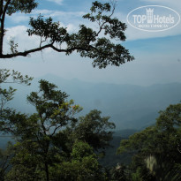 фото из отзыва ID 1669157