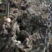 фото из отзыва ID 1669157