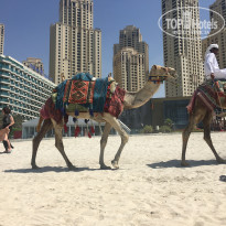 фото из отзыва ID 1669218