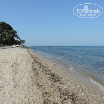 фото из отзыва ID 1669239