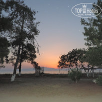 фото из отзыва ID 1669239