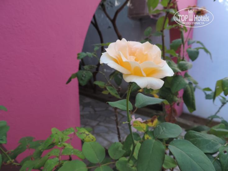 New photos from tourists Vergina Hotel 2*