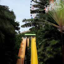 фото из отзыва ID 1669309