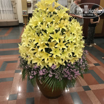 фото из отзыва ID 1669327