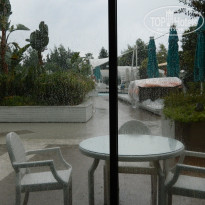 фото из отзыва ID 1669548