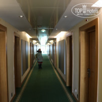 фото из отзыва ID 1669561