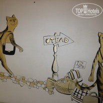 фото из отзыва ID 1669564