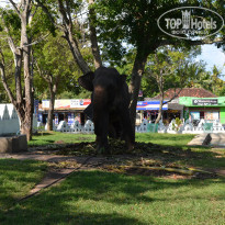 фото из отзыва ID 1669571