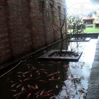 фото из отзыва ID 1669571