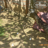 фото из отзыва ID 1669574