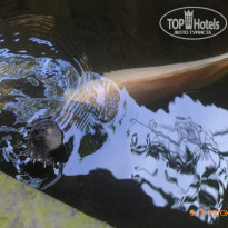 фото из отзыва ID 1669574