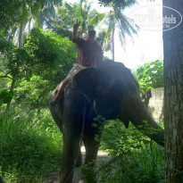 фото из отзыва ID 1669574