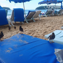 фото из отзыва ID 1669883