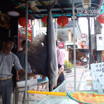 фото из отзыва ID 1669883