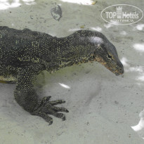 фото из отзыва ID 1669883