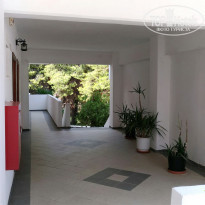 фото из отзыва ID 1669907