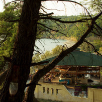 фото из отзыва ID 1669921