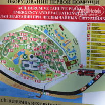 фото из отзыва ID 1669989