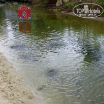 фото из отзыва ID 1669921