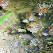 фото из отзыва ID 1669921