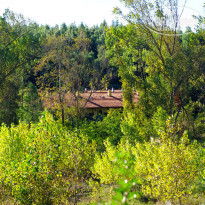 фото из отзыва ID 1669921