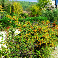 фото из отзыва ID 1669921