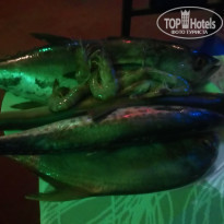 фото из отзыва ID 1669607