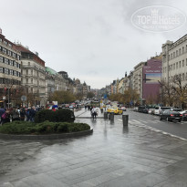 фото из отзыва ID 1669524