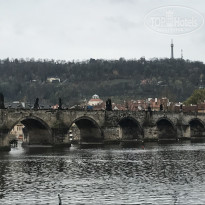 фото из отзыва ID 1669524