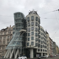 фото из отзыва ID 1669524