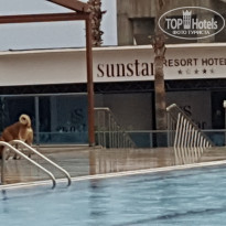 фото из отзыва ID 1665007