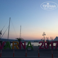 фото из отзыва ID 1666149