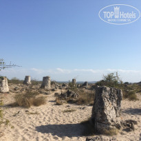 фото из отзыва ID 1666149