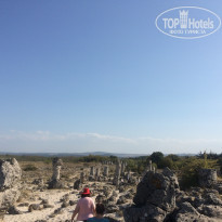 фото из отзыва ID 1666149