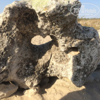 фото из отзыва ID 1666149