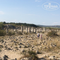 фото из отзыва ID 1666149