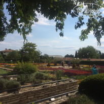 фото из отзыва ID 1666149