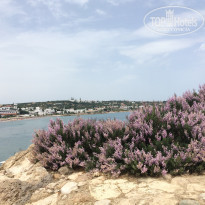 фото из отзыва ID 1666162