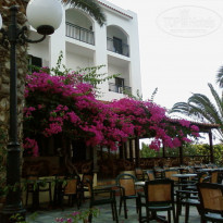 фото из отзыва ID 167152